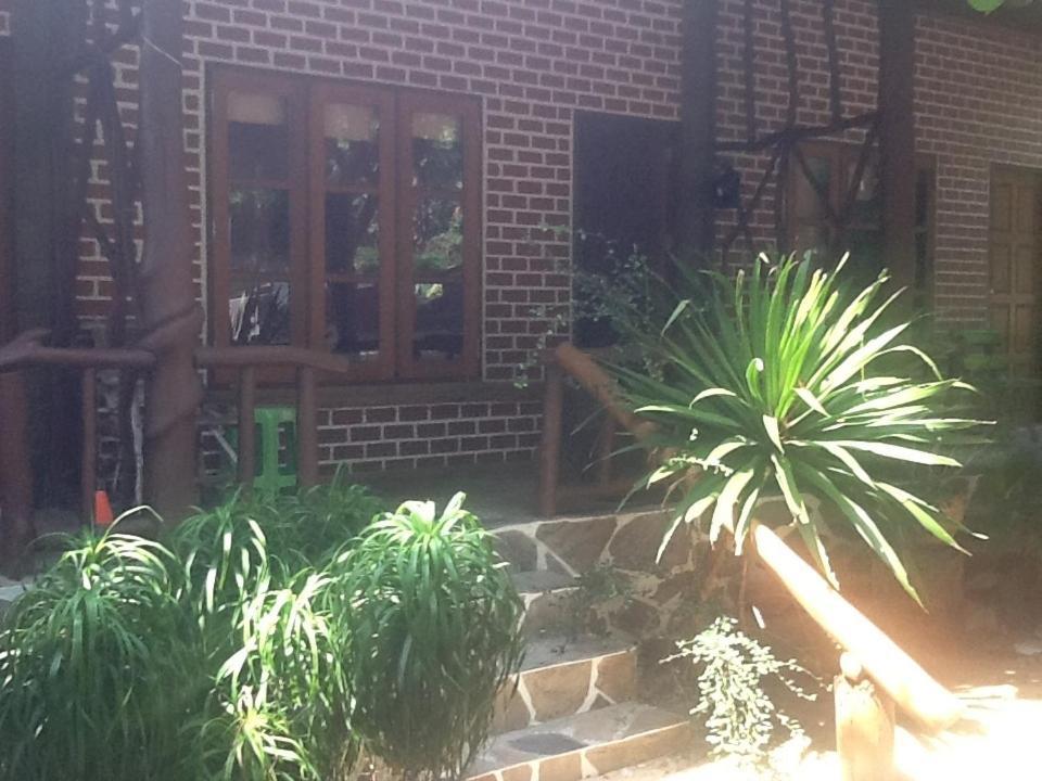 Peach Guesthouse Haad Rin Ngoại thất bức ảnh